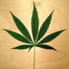 Weed Leaf...