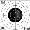 Seek n Destroy - Target