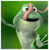 Zool@nder's Photo