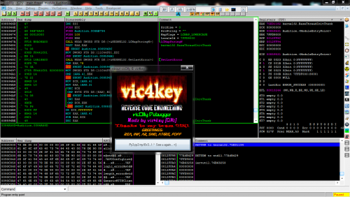 More information about "VicOlly Debugger"