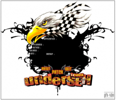 More information about "dUP2 Skin-Eagle_Shot-underSEH"