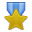 0041-Medal-Gold-icon.png