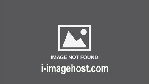 298c423937.jpg